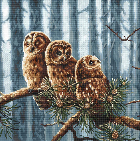 LetiStitch: Owls Family SLETI946 - siuvinėjimo kryželiu rinkinys - HOBI.LT 🇱🇹