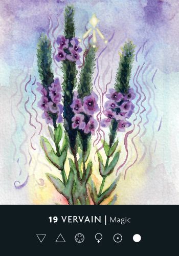 Ritual Deck ritualų kortos – intuicijai, mėnulio fazėms ir energijoms