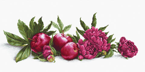 Luca - s: Peonies and Red Apples SB2357 - siuvinėjimo kryželiu rinkinys - HOBI.LT 🇱🇹