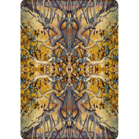 Lo Scarabeo: Portraits of a Woman Aspects of a Goddess kortos - HOBI.LT 🇱🇹
