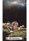 tarot korta 16 Expansion – moteriška fėja su drugelio sparnais ant samanų tarp grybų ir kosmine aura
