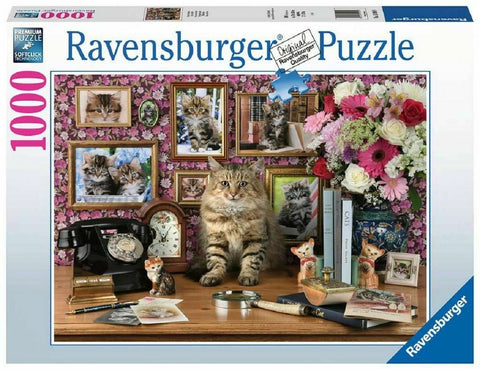 Ravensburger: Puzzle 1000 My Cute Kitty - RAVENSBURGER dėlionė - HOBI.LT 🇱🇹