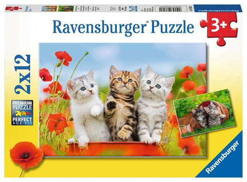 Ravensburger: Puzzle 2x12 Kittens - RAVENSBURGER dėlionė - HOBI.LT 🇱🇹