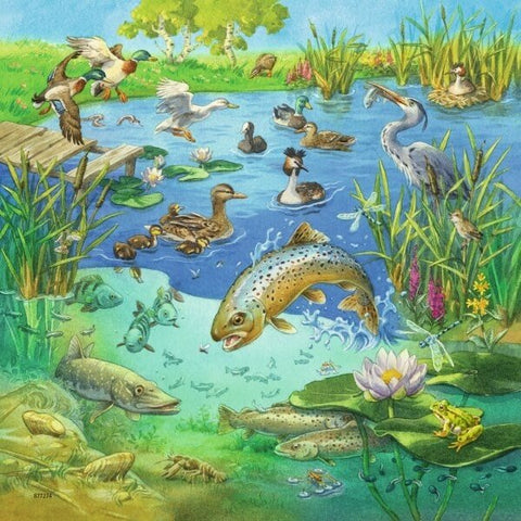 Ravensburger: Puzzle 3X49 Animals - RAVENSBURGER dėlionė - HOBI.LT 🇱🇹