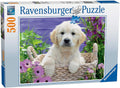 Ravensburger: Puzzle 500 Sweet Golden Retriever - RAVENSBURGER dėlionė - HOBI.LT 🇱🇹