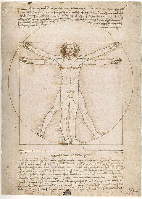 Ravensburger: Puzzle Art 1000 Vitruvian Man - RAVENSBURGER dėlionė - HOBI.LT 🇱🇹