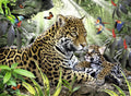 Ravensburger: Ravensburger dėlionė "Puzzle 500 Baby Jaguar" - HOBI.LT 🇱🇹