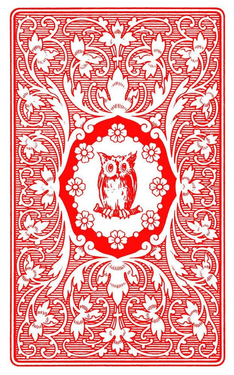 AGM: Red Owl Tarot Kortos - HOBI.LT 🇱🇹