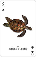 US Games Systems: Reptiles And Amphibians of the Natural World žaidimo kortos - HOBI.LT 🇱🇹