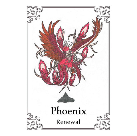 Animal Dreaming: Sacred Bird Oracle kortos - HOBI.LT 🇱🇹