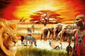 Ravensburger: SAVANNAH MASAI 3000 Piece Puzzle - RAVENSBURGER dėlionė - HOBI.LT 🇱🇹