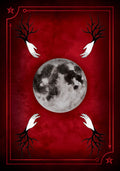 Rockpool: Seasons Of The Witch Samhain Oracle kortos - HOBI.LT 🇱🇹