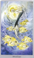 Llewellyn: Shadowscapes Tarot kortos ir knyga (rinkinys) - HOBI.LT 🇱🇹