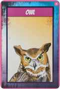 Findhorn Press: Shamanic Power Animal Oracle kortos - HOBI.LT 🇱🇹
