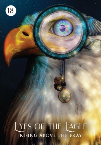 knyga Eyes of the Eagle su stilizuotu ereliu ir didinamuoju stiklu ant aukso‑baltos spalvotos viršelio kompozicijos