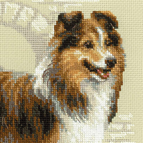 RIOLIS: Sheltie siuvinėjimo rinkinys iš RIOLIS Nr.: 1710 - HOBI.LT 🇱🇹