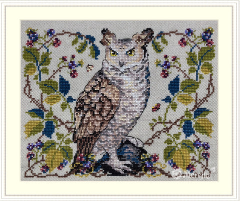 Žavinga pelėda – siuvinėjimo kryželiu rinkinys su DMC, 20x16 cm