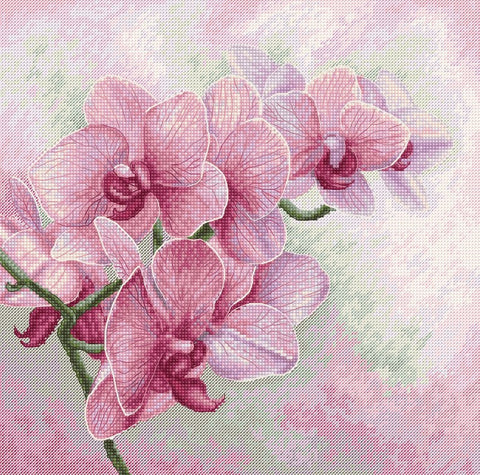 Dekoratyvinė drobės plakato spauda su rožinėmis orchidėjomis iš arti, matomas audinio faktūros ir minkštas pastelinis fonas