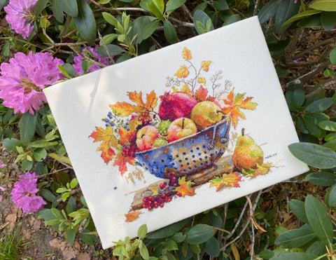 Drobė su vaisių kompozicija ir mėlynu kiaurasamčiu bei rudeniškais lapais, nufotografuota pasvirusi tarp rožinių rododendrų