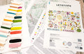 Kryželių rinkinys Letistitch Spring Sampler su įvairiaspalvėmis siūlų kortelėmis ir aiškia žingsnių diagrama