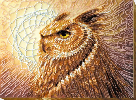 Karoliukų siuvinėjimo rinkinys „Totemas“ 31×23 cm, 14 spalvų