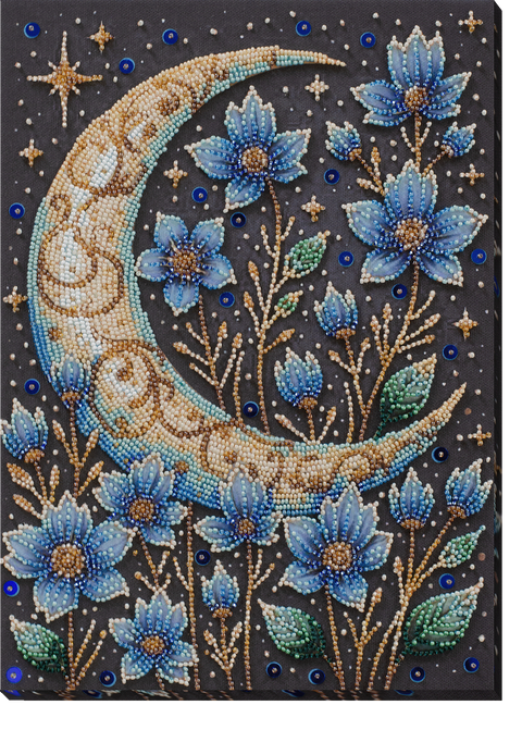 Karoliukų siuvinėjimo rinkinys „Stebuklinga naktis“ 22x31 cm AAB-941