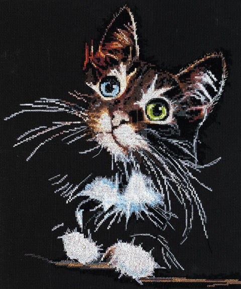 Siuvinėjimo kryželiu rinkinys „Pūkuotas kačiukas“ 30x35 cm