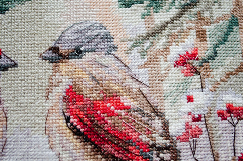 Žiemos šnekės: siuvinėjimo kryželiu rinkinys 25x25 cm Deco Scenes