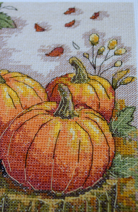 Siuvinėjimo kryželiu rinkinys „Rudens sodas“ 16x24 cm AAH-289