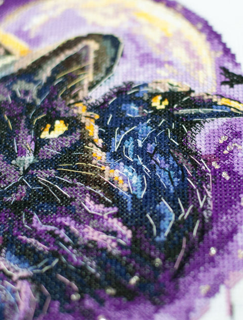 Siuvinėjimo kryželiu rinkinys „Magijos šešėliai“ 20x20 cm AAH-306