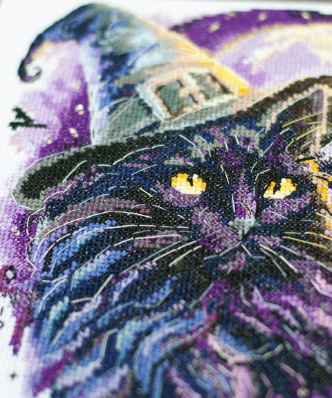 Siuvinėjimo kryželiu rinkinys „Magijos šešėliai“ 20x20 cm AAH-306