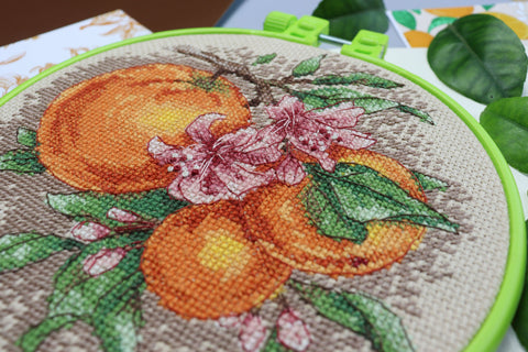 Siuvinėjimo kryželiu rinkinys „Citrusinės natos“ su lankeliu 17x17, Abris Art