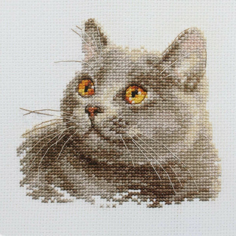 Kryželiu siuvinėjimo rinkinys „Britų katė“ 12x11 cm, Aida 14 ct, 13 spalvų