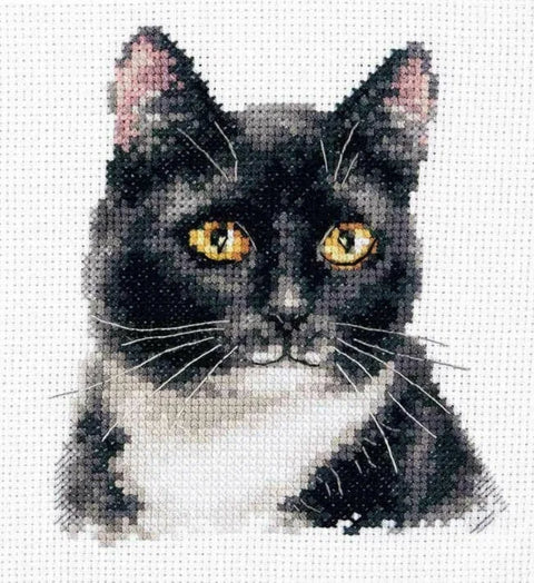 Siuvinėjimo rinkinys juoda‑balta katė, detaliai arti parodytas katės veidas su ryškiomis geltonomis akimis, mažesnis 20×20 cm variantas