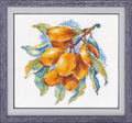Kryželių paveikslas Abrikozai su violetiniu mediniu rėmu, 30×30 cm — detalių siūlių ir ryškių spalvų pavyzdys