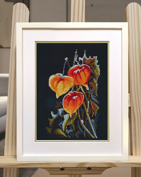 Siuvinėtas paveikslas su oranžinėmis physalis ant juodo fono, baltu rėmu ir matinimu, eksponuotas ant medinio stovo