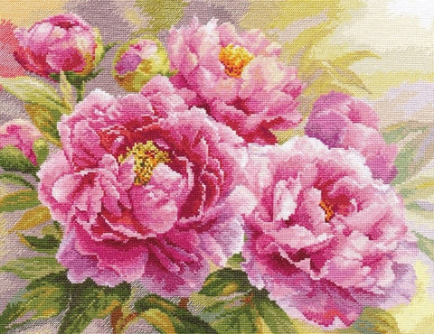 Kryželių rinkinys su didelėmis rožiniais bijūnų žiedais, 40×30 cm kompozicija, įskaitant audinį ir spalvotas siūles