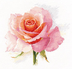 Rožių švelnumas – kryželiu siuvinėjimo rinkinys, 16 ct Aida, 24×24 cm