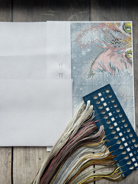 kryželių siuvinėjimo rinkinys su balta 14 ct Aida drobe, spalvotų siūlų kortele ir daliniu spausdintu grafiku dešinėje
