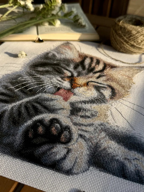 Kryželiu siuvinėjimo rinkinys „Minkštos letenėlės“ 27×27,5 cm, Aida 16 ct