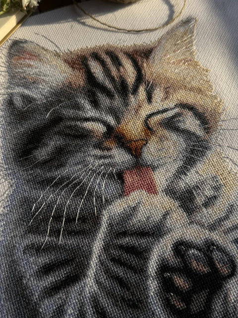 Kryželiu siuvinėjimo rinkinys „Minkštos letenėlės“ 27×27,5 cm, Aida 16 ct