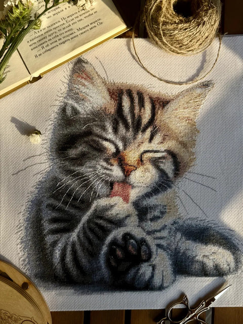 Kryželiu siuvinėjimo rinkinys „Minkštos letenėlės“ 27×27,5 cm, Aida 16 ct