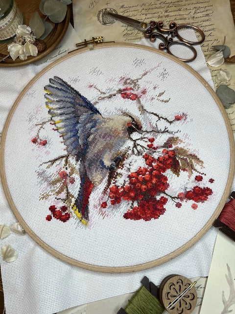 Siuvinėjimo rinkinys kryželiu „Waxwing“, paukštis, 19×19,5 cm