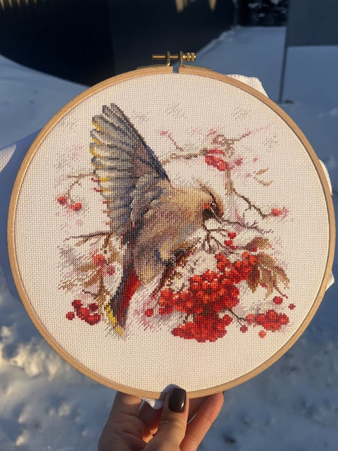 Siuvinėjimo rinkinys kryželiu „Waxwing“, paukštis, 19×19,5 cm