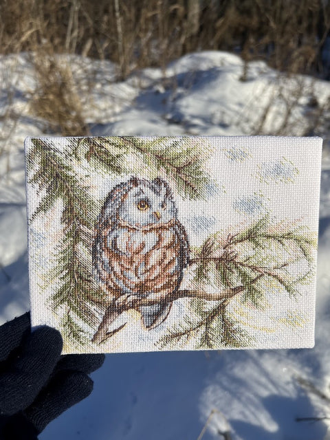 Siuvinėjimo rinkinys kryželiu „Mažoji pelėda“ 20x15 cm pradedantiesiems