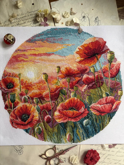 Kryželiu siuvinėjimo rinkinys „Saulė aguonose“ 29×27 cm, 36 spalvos