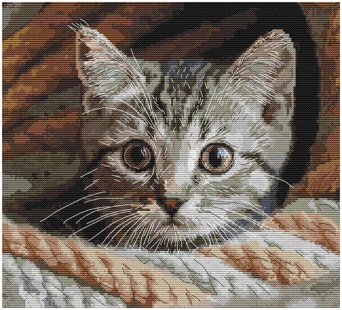 Siuvinėjimo kryželiu rinkinys „Šnipas“ 25,5x23 cm SANU-10