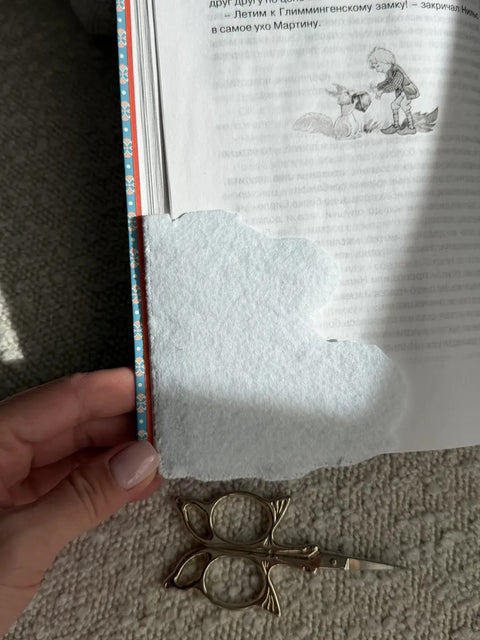 Kryželių siuvinėjimo rinkinys skirtukui „Draugas“, 9×9,5 cm, plastikinė drobė 14 ct