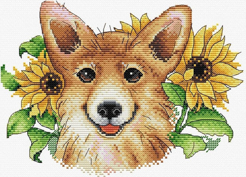 Kryželių rinkinys corgi su saulėgrąžomis, priekinis portretas šiltų rudų tonų, skirtas rėminamam sieniniam dekorui
