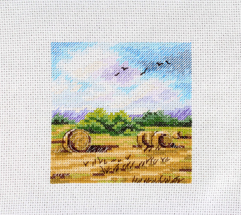 Kryželiu siuvinėjimo rinkinys „Kaimo platybės“, 11×11 cm